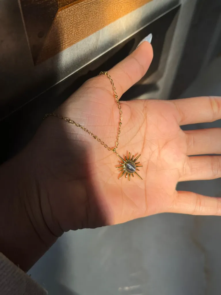 WhatsApp Image 2026-03-15 at 1.35.03 PM (1).webp